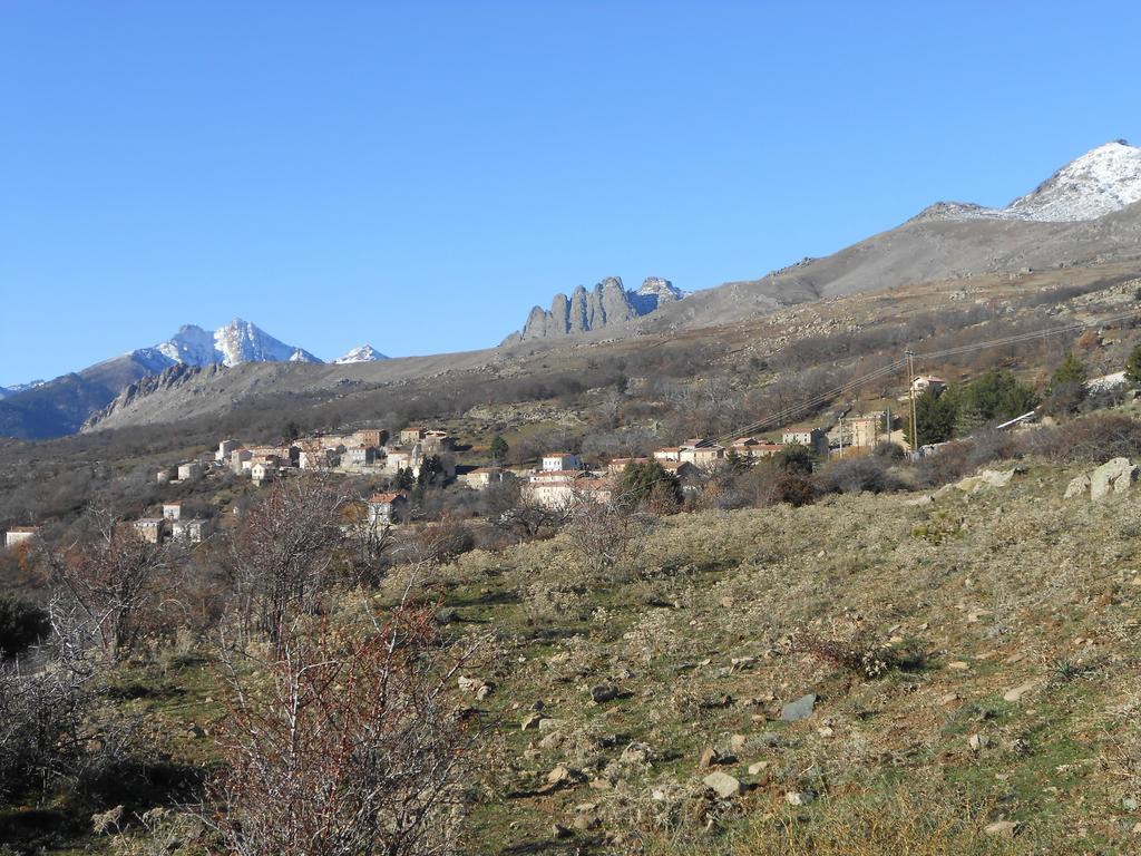 Les Chalets De Lozzi Calacuccia Exterior photo